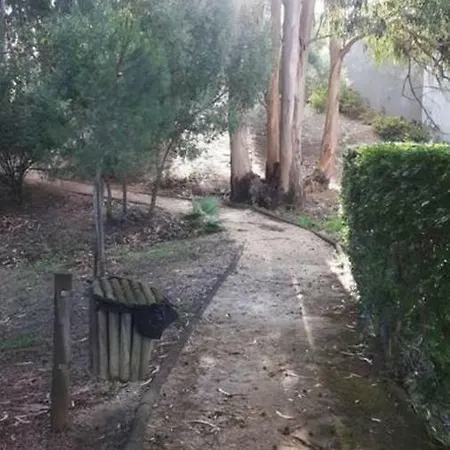 Apartamento Eden Com Piscina Entre O Mar E A Serra Alcabideche